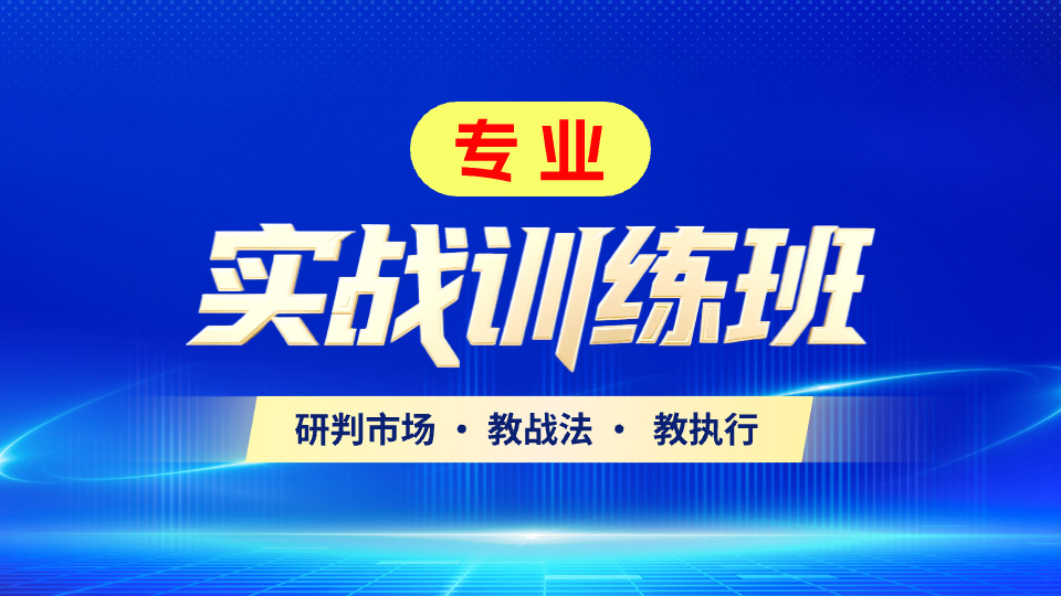 实战训练班专业版回看